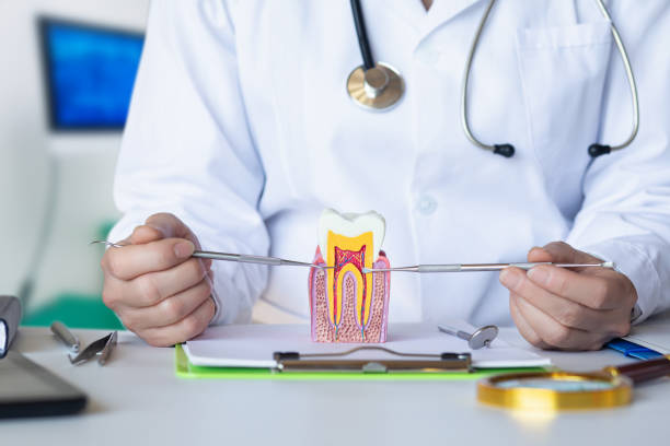 Best Tooth Pain Emergency Relief  in Island Park, NY
